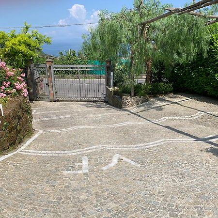 Villa Flore Colli di Fontanelle Exteriér fotografie