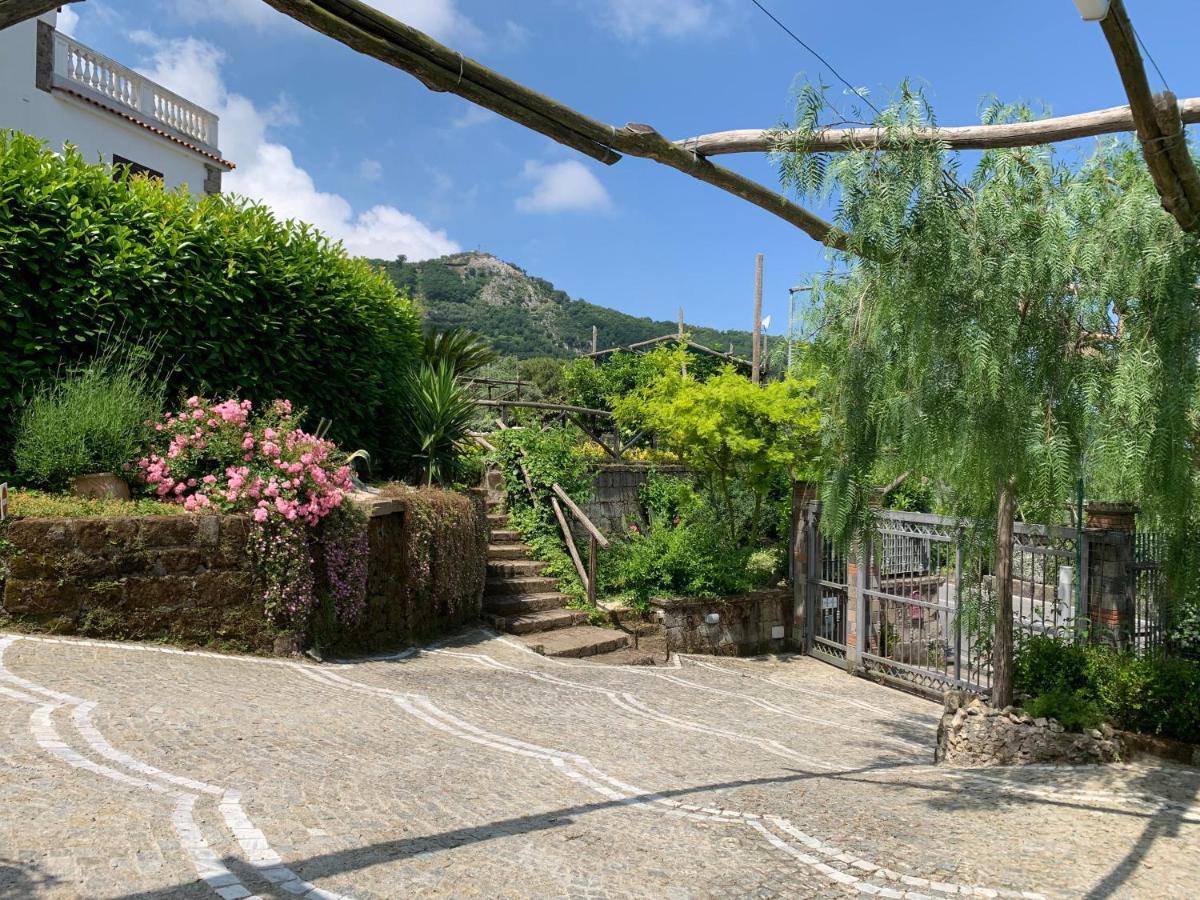 Villa Flore Colli di Fontanelle Exteriér fotografie